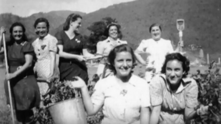 Jews Hold Historic WWII Reunion in Jamaica