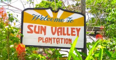 Sun Valley Plantation