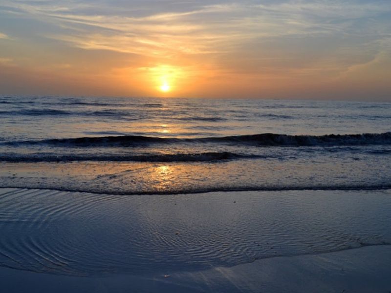 12 Reasons to Eat Stinking Toe