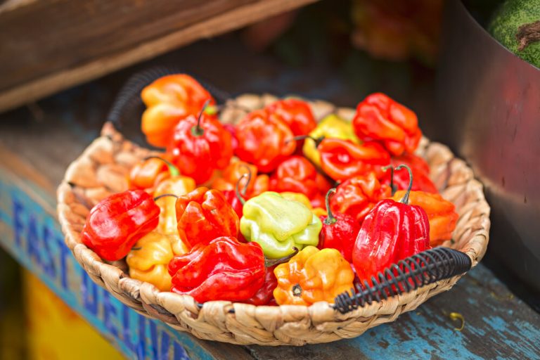 6 Benefits of Eating Scotch Bonnet Pepper