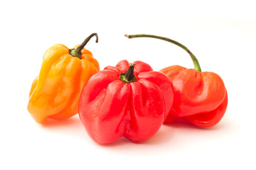 6 Benefits of Eating Scotch Bonnet Pepper