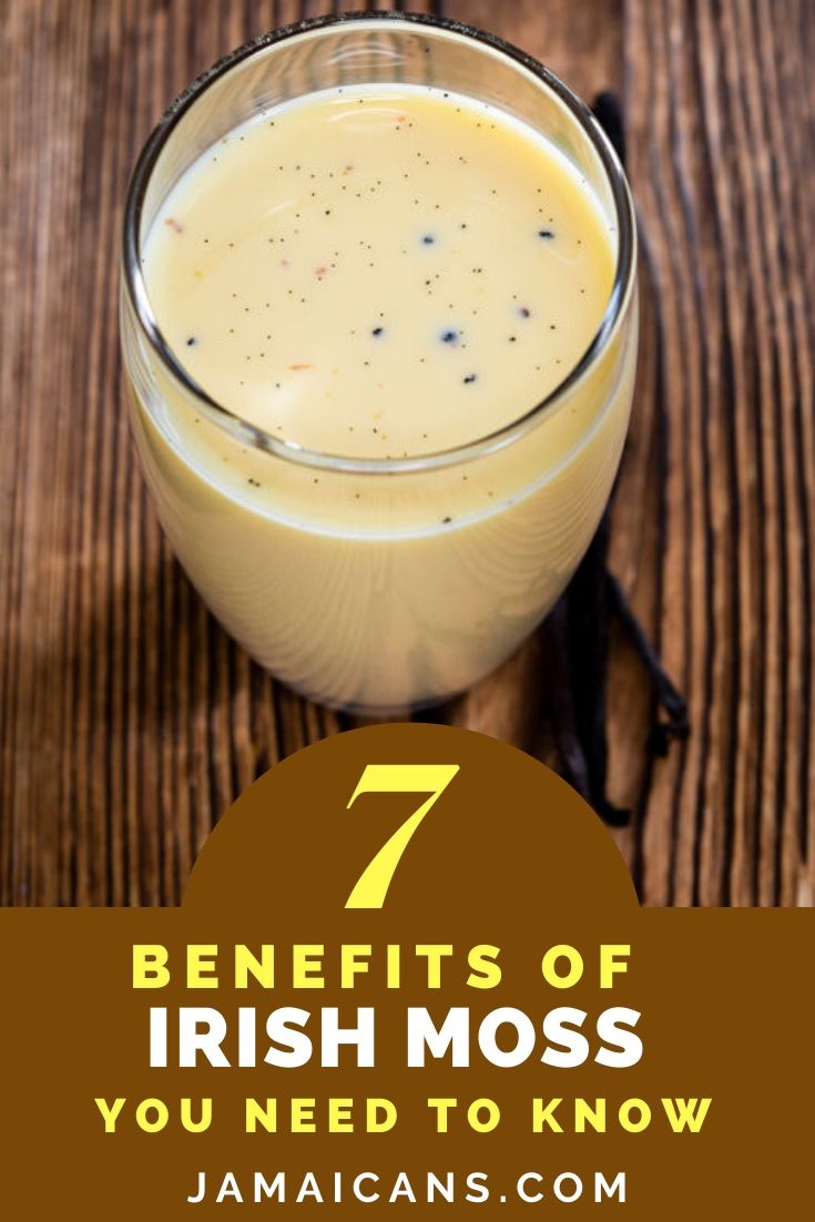 7 Benefits of Irish Moss You Need to Know Jamaicans and Jamaica