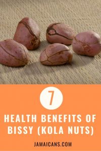 7 Health Benefits of Bissy - Kola Nuts