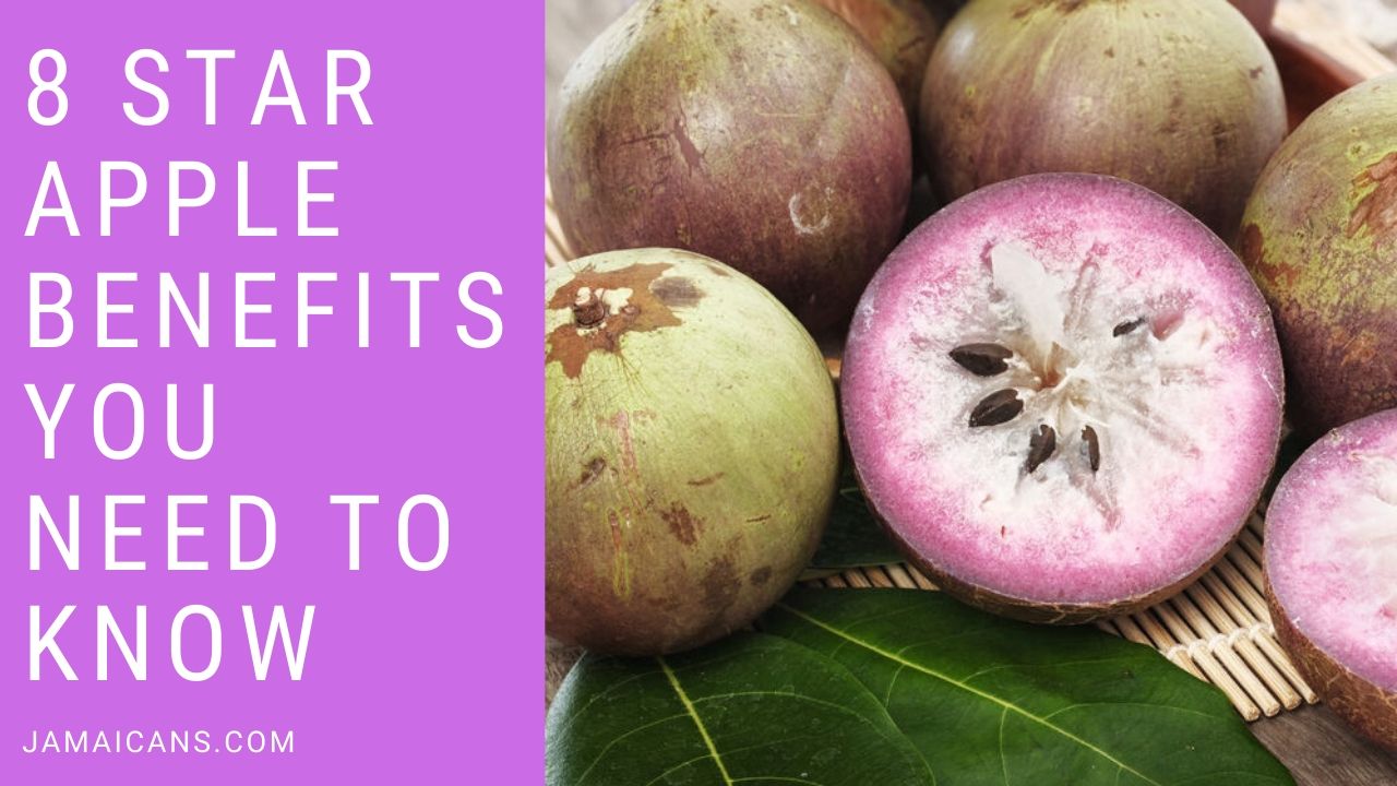 8 Star Apple Benefits You Need to Know - Jamaicans and Jamaica ...