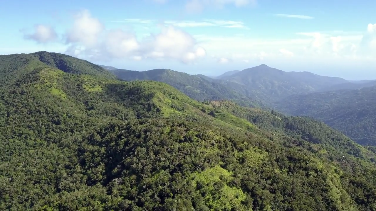 A Day Trip to Holywell National Park Blue Mountains Jamaica