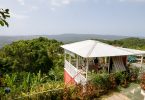Ras Natango Gallery