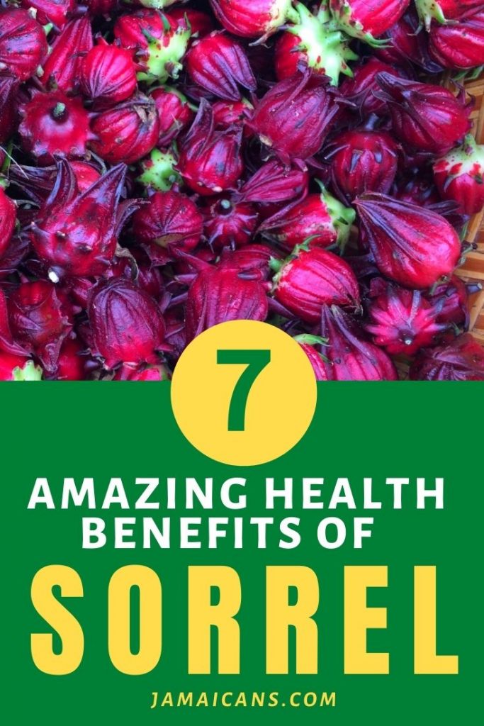 Amazing Health Benefits Of Sorrel