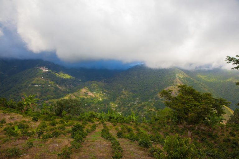 Bauxite Mining Continues to Threaten Jamaican Farmers and Cockpit Country