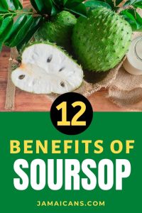 12 Benefits of Soursop