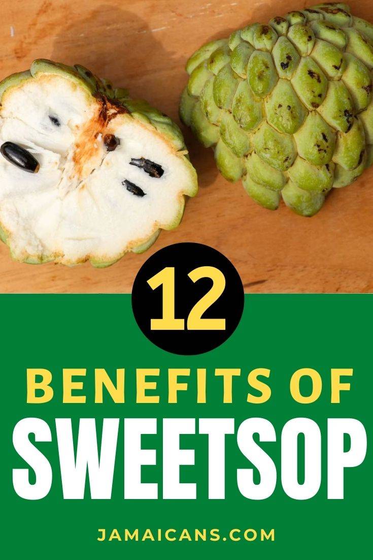 Benefits of Sweetsop - PIN