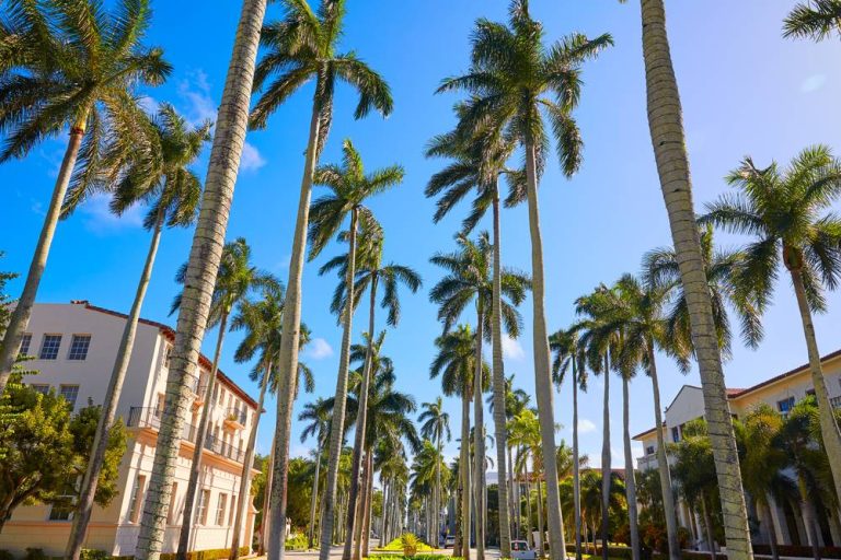 Best of Jamaica in Palm Beach