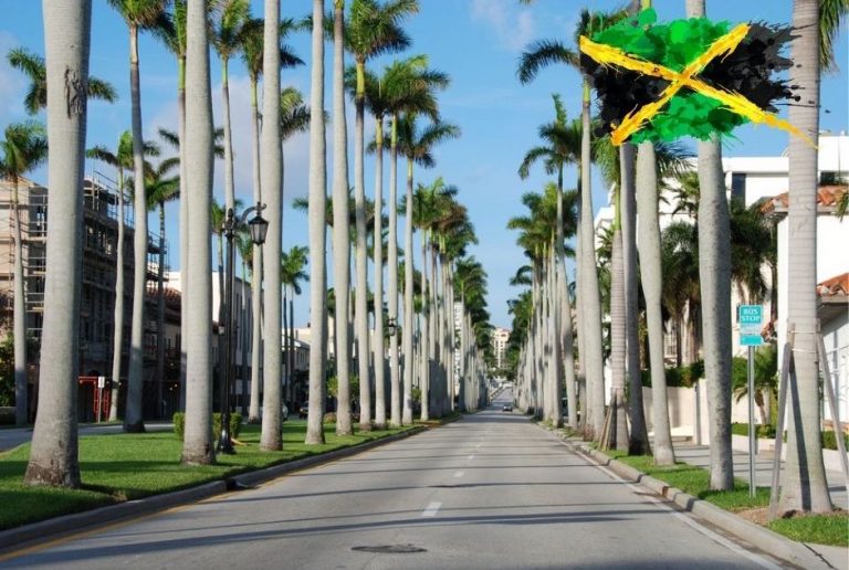 Best of Jamaica in Palm