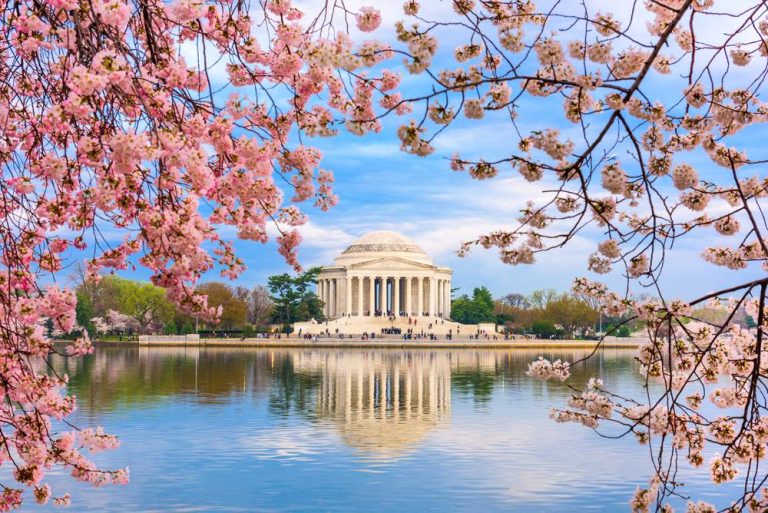 Best of Jamaica in Washington DC