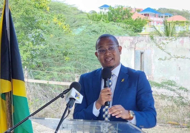 Braille Birth Certificates A Pioneering Move For Jamaica
