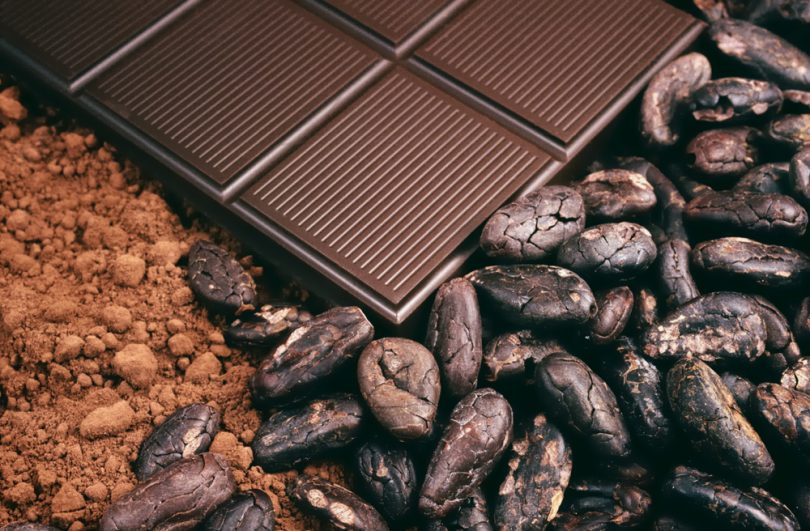 Did You Know Jamaican Cocoa Produces Expensive Fine Chocolate