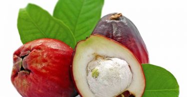 Did you Know the Otaheite Apple Seed has Health Benefits 2