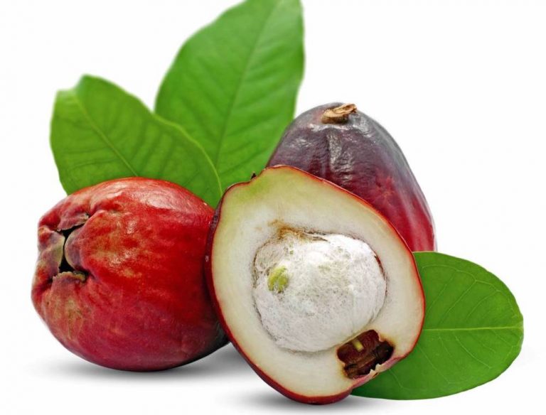 Did you Know the Otaheite Apple Seed has Health Benefits 2