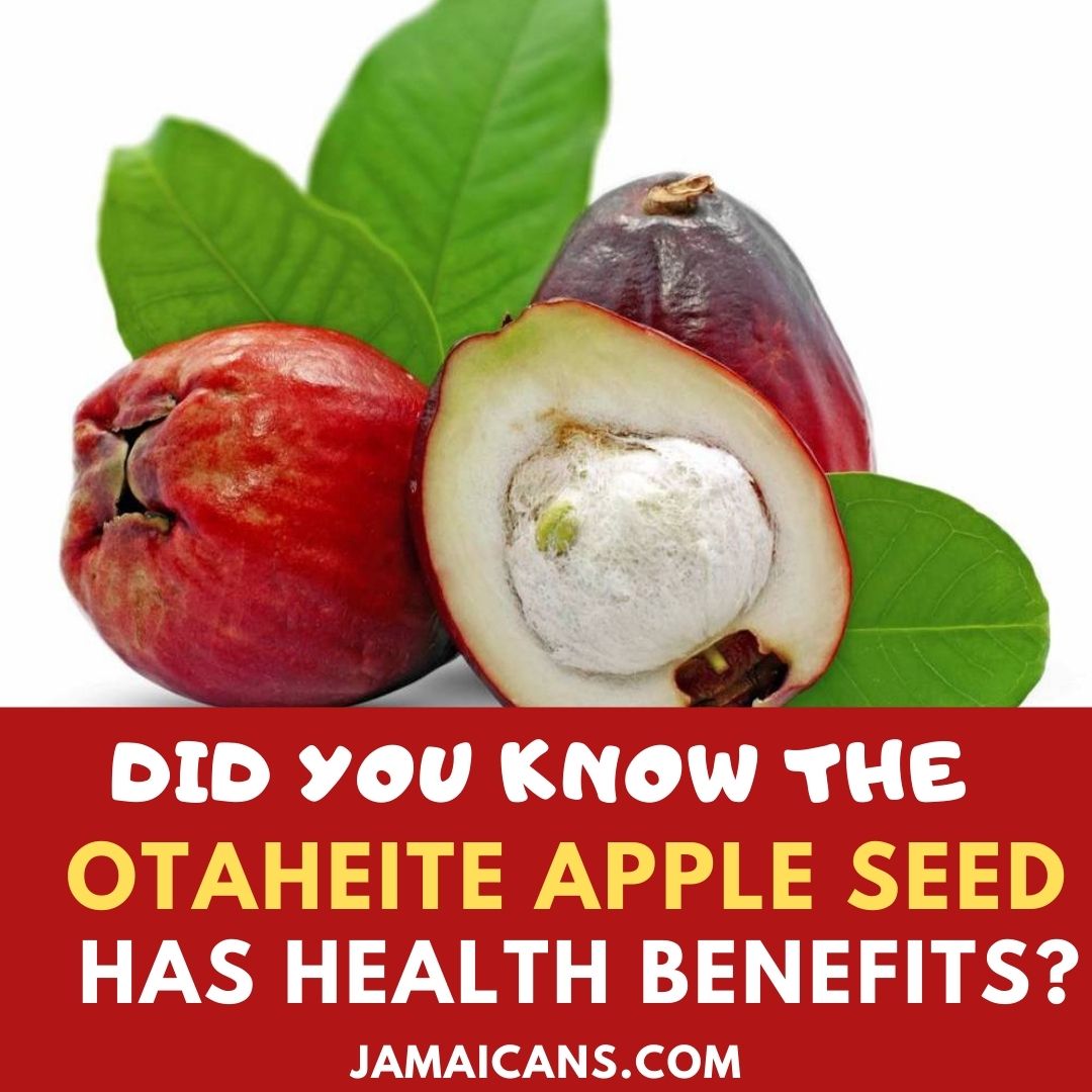 Di you Know the Otaheite Apple Seed has Health Benefits?