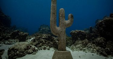 Divers Can Now Explore Sculptures By Claudia Comte In Underwater Park In Port Antonio Jamaica