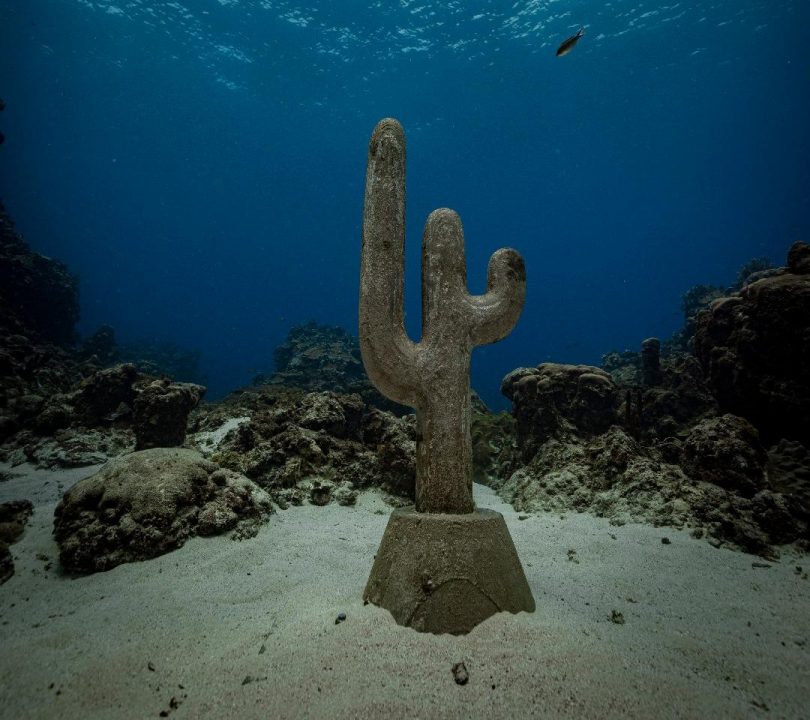Divers Can Now Explore Sculptures By Claudia Comte In Underwater Park In Port Antonio Jamaica