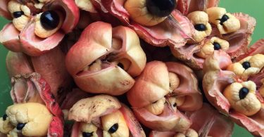 Exploring Jamaican Food Ackee Jamaican National Dish