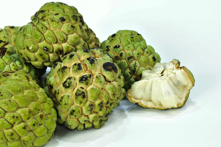Exploring Jamaican Food- Sweetsop