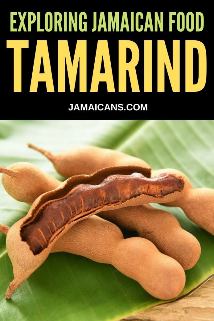 Exploring Jamaican Food Tamarind PIN