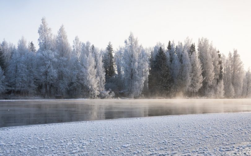 What’s It Like Being a Jamaican Living in Finland?