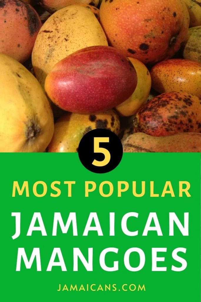 Five Most Popular Jamaican Mangoes PIN