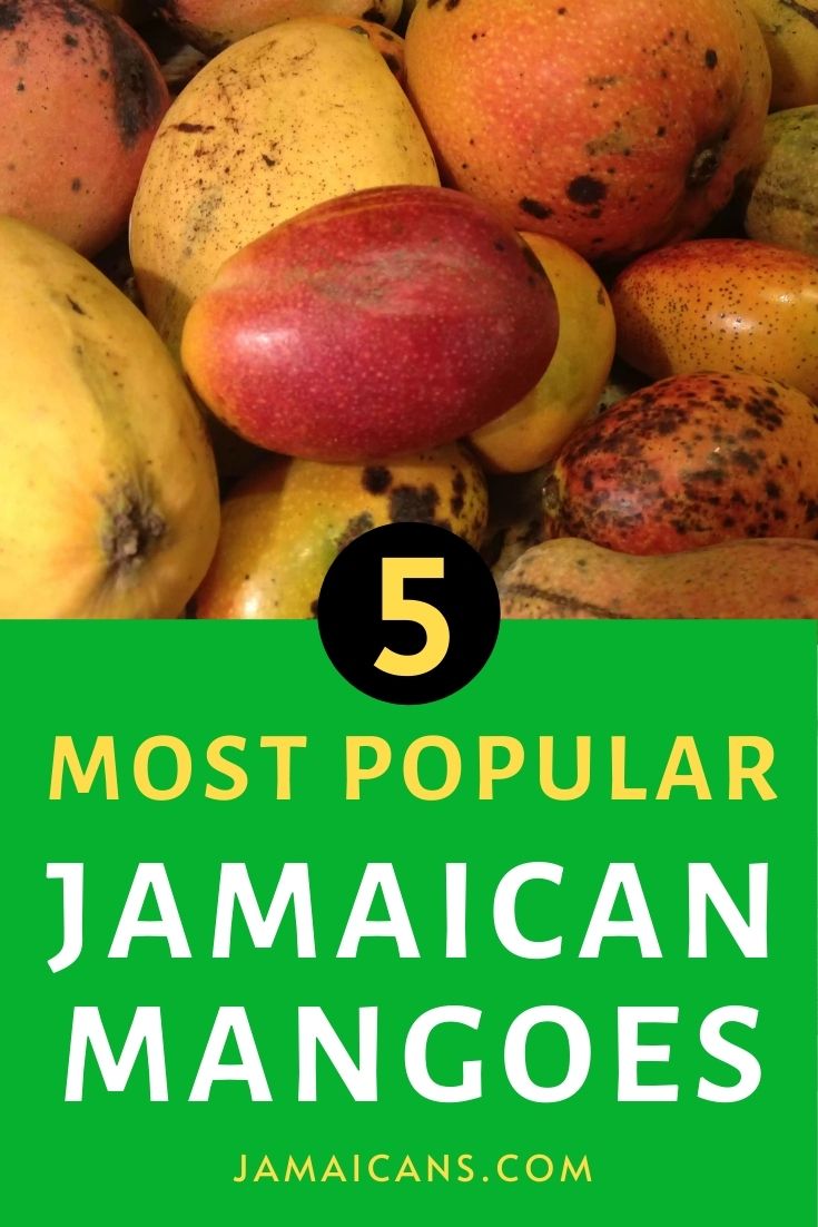 five-most-popular-jamaican-mangoes