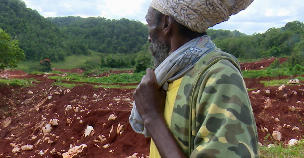 Global Extraction Film Festival 2020 - Curated by Esther Figueroa, environmental filmmaker based in Jamaica