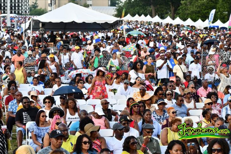 Groovin in the park 2019