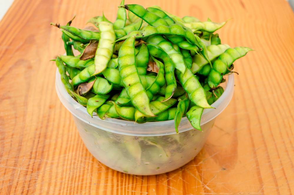 Gungo Peas