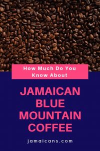 How Much Do You Know About Jamaican Blue Mountain Coffee pn