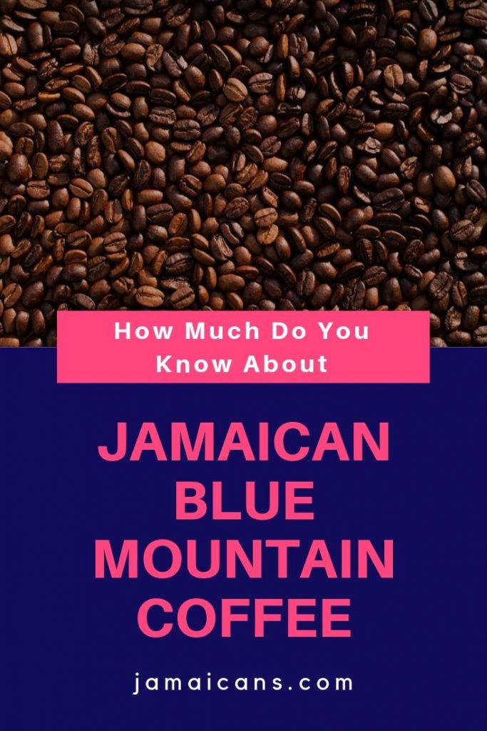 How Much Do You Know About Jamaican Blue Mountain Coffee?