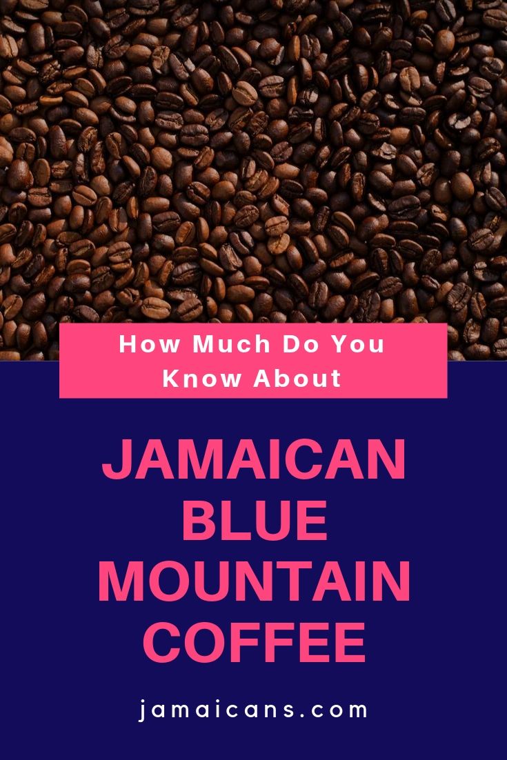 How Much Do You Know About Jamaican Blue Mountain Coffee?