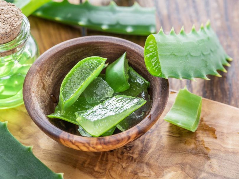 How Much to You Know About These 6 Amazing Benefits of Aloe Vera