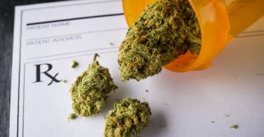 Jamaica’s First Shipment of Medical Marijuana Goes to Canada