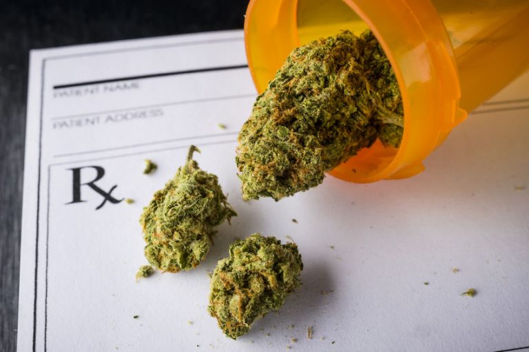 Jamaica’s First Shipment of Medical Marijuana Goes to Canada