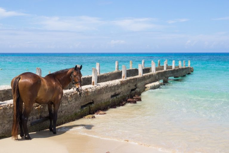 Jamaica among Top 5 International Destinations for Thanksgiving Travel
