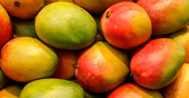 Jamaica to Increase Shipment of Mangoes to USA and Other Countries