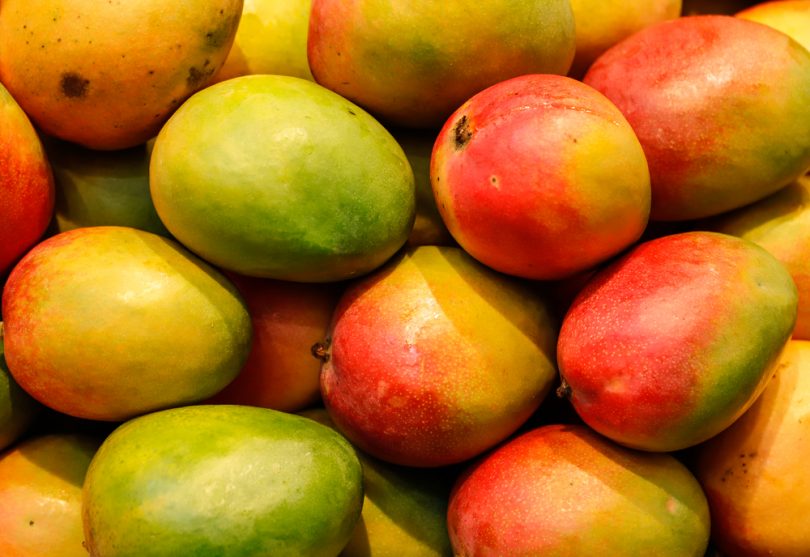 Jamaica to Increase Shipment of Mangoes to USA and Other Countries