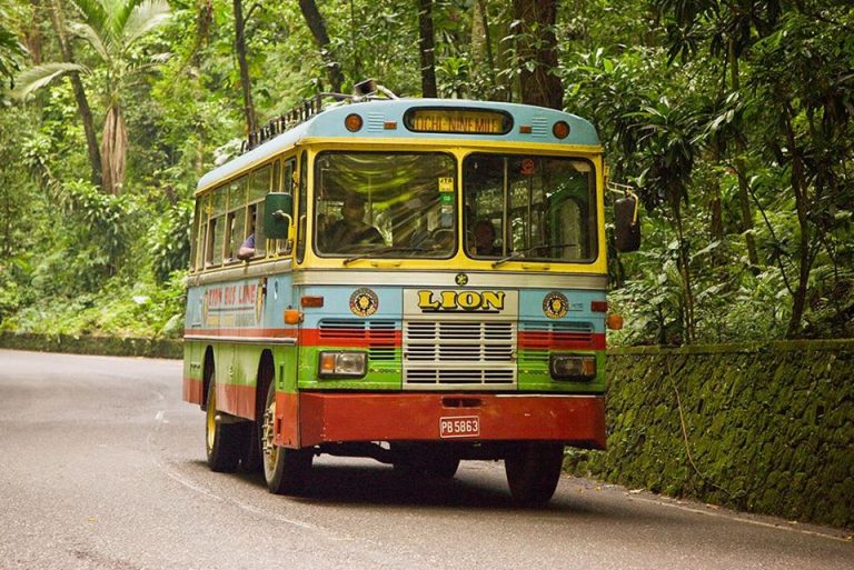 Jamaican Bus Names You Will Never Forget