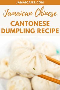 Jamaican Chinese Cantonese Dumpling Recipe