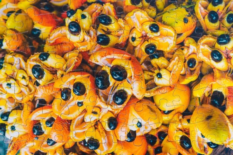 Jamaican Creates Jigsaw Puzzles Inspired by the Islands Rich Culture