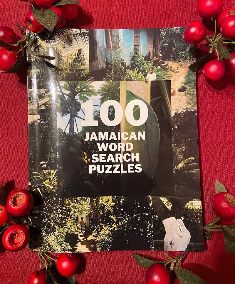 Julie Ballin Creates Jamaican Patois Word Search Puzzle Book 2