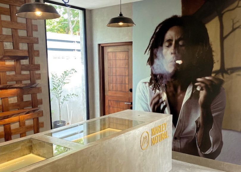 Marley Family Expands Role in Cannabis Industry with Launch of Herb House at Museum - 2