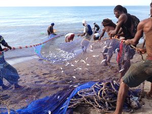Travel experiences fishermen pull net_InspiringVibes