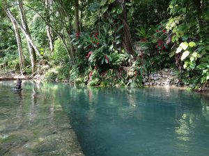 Blue water of Roaring River with flower tree_InspiringVibes