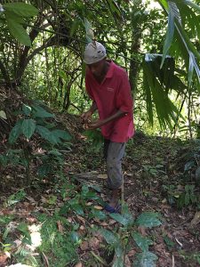 Nanni Falls Farmer_RappaRastaTours